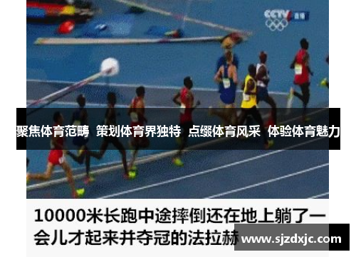 聚焦体育范畴 策划体育界独特 点缀体育风采 体验体育魅力