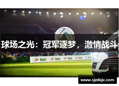 球场之光:冠军逐梦,激情战斗